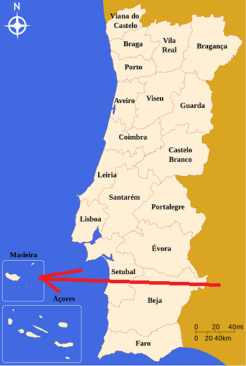 Envio de paquete a Región Autónoma de Madeira con Packgo.es