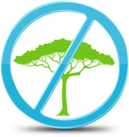 Prohibido el transporte de arboles o plantas vivas
